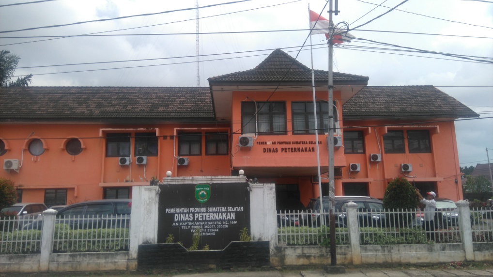 image9